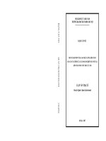 Một số giải pháp nâng cao chất lượng kiểm toán báo cáo tài chính của các doanh nghiệp nhà nước tại kiểm toán nhà nước khu vực xiii 