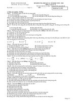 Đề thi học kì 2 môn vật lí lớp 11 năm 2019 sở GDĐT quảng nam | Vật Lý, Lớp 11 - Ôn Luyện