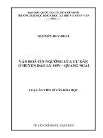 Văn hóa tín ngưỡng của cư dân ở huyện đảo lý sơn   quảng ngãi 