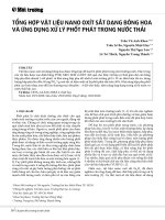 Tổng hợp vật liệu nano oxít sắt dạng bông hoa và ứng dụng xử lý phốt phát trong nước thải