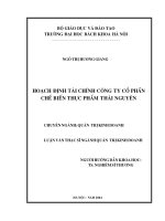 Hoạch định tài chính công ty cổ phần chế biến thực phẩm thái nguyên 