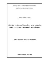 Các yếu tố ảnh hưởng đến ý định mua sắm trực tuyến tại thành phố hồ chí minh 