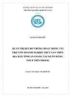 Quản trị rủi ro trong hoạt động tài trợ vốn doanh nghiệp thủy sản trên địa bàn tỉnh an giang tại ngân hàng TMCP tiên phong 