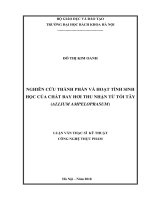 Nghiên cứu thành phần và hoạt tính sinh học của chất bay hơi thu nhận từ tỏi tây (allium ampeloprasum) 