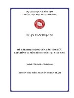 Luận văn Thạc sĩ Tài chính ngân hàng: Hoạt động của các tổ chức tài chính vi mô chính thức tại Việt Nam