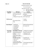 giáo án tuần 18 : Động vật sống trong rừng