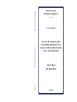 Phân tích và đề xuất một số giải pháp hoàn thiện hoạt động huy động vốn tại ngân hàng tmcp công thương việt nam  chi nhánh tuyên quang 