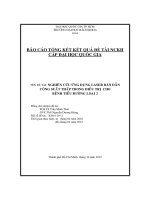 Nghiên cứu ứng dụng laser bán dẫn công suất thấp trong điều trị cho bệnh tiểu đường loại 2 