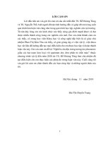 Luận văn Thạc sĩ Vật lý: Đánh giá khả năng xử dụng phương pháp plasma tương tác dung dịch để biến tính TiO2 và tạo nanocomposite Au/TiO2