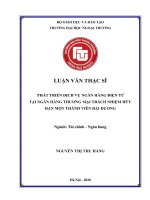 Luận văn Thạc sĩ Tài chính ngân hàng: Phát triển dịch vụ ngân hàng điện tử tại Ngân hàng thương mại Trách nhiệm hữu hạn Một thành viên Đại Dương
