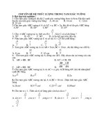 Toan Lop 9 bai tap chuyen de he thuc luong trong tam giac vuong c88cd6948f