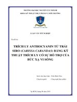 Trích ly anthocyanin từ trái siro ( carissa carandas) bằng kỹ thuật trích ly có sự hỗ trợ của bức xạ vi sóng 