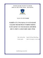 Nghiên cứu ứng dụng cỏ vetiver để loại bỏ thành phần ô nhiễm trong nước kênh văn thánh bằng mô hình sỏi và thủy canh ở điều kiện tĩnh 