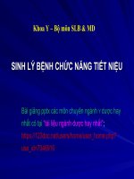 SINH lý BỆNH rối LOẠN TIẾT NIỆU ppt _ SLB & MD