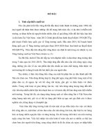 Nghiên cứu khảo sát hành vi tiêu dùng bền vững của người dân tại Hà nội