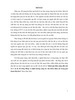 Đánh giá tiềm năng dầu khí lô ab, bể sông hồng và định hướng công tác tìm kiếm thăm dò trong giai đoạn tiếp theo 