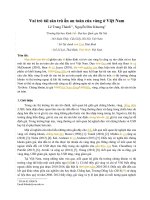 Vai trò tài sản trú ẩn an toàn của vàng ở Việt Nam