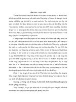 Phát triển kinh doanh hàng dân dụng tại Tổng công ty xuất nhập khẩu tổng hợp Vạn Xuân, Bộ Quốc Phòng