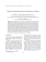 A Review of the Genus Keteleeria (Pinaceae) in Vietnam