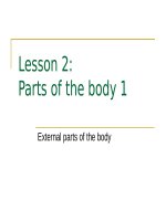 PARTS OF THE BODY 1 ppt _ ANH VĂN (y dược)