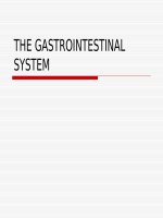 THE GASTROINTESTINAL SYSTEM ppt _ ANH VĂN (y dược)