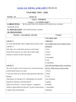 Tải Giáo án tiếng Anh lớp 9 Tuần 23 sách mới - Giáo án điện tử môn tiếng Anh 9 theo tuần