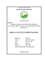 (Khóa luận tốt nghiệp) Nghiên cứu một số đặc điểm nông sinh học và và kỹ thuật trồng cây hoài sơn tại huyện Bảo Thắng, tỉnh Lào Cai