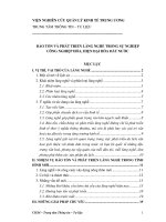 Bảo tồn và phát triển làng nghề trong sự nghiệp công nghiệp hóa, hiện đại hóa đất nước 