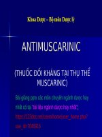 THUỐC ANTIMUSCARINIC ppt _ DƯỢC LÝ