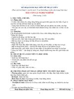 GIAO AN MI THUAT con ga ngho nghinh vi su binh dang va dan chu trong giao duc 