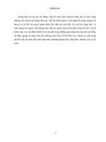 Nghiên cứu, thiết kế hệ thống cảnh báo và điều khiển cân bằng tàu khi có sự cố bất ổn định 