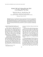 Kinh tế thế giới 6 tháng đầu năm 2011 và tác động đến Việt Nam