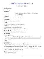 Tải Giáo án tiếng Anh lớp 11 Tuần 34 sách mới - Giáo án điện tử môn tiếng Anh 11 theo tuần