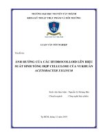 Ảnh hưởng của các hydrocolloid lên hiệu suất sinh tổng hợp cellulose của vi khuẩn acetobacter xylinum 