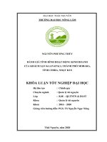 Đánh giá tình hình hoạt động kinh doanh khách sạn Kaanapali, thành phố Mobara, tỉnh Chiba, Nhật Bản năm 2019 và 4 tháng đầu năm 2020 (Khóa luận tốt nghiệp)