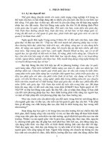 Sáng kiến kinh nghiệm, SKKN - Một số biện pháp quản lý hoạt động dạy học ở trường tiểu học theo định hướng phát triển năng lực học sinh