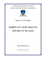 Nghiên cứu nước trái cây lên men từ dưa hấu  