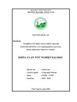 Nghiên cứu khả năng nhân nhanh loài hài hương lan (paphiopedilum emersonii) bằng phương pháp in vitro 