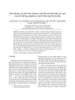 Ảnh hưởng của all-trans retinoic acid lên sự biểu hiện các gen của con đường apoptosis của tế bào ung thư dạ dày