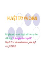 HUYỆT TAY và CHÂN ppt _ Y HỌC CỔ TRUYỀN