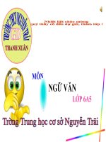 VĂN 6 - TIẾT 127 - CHỮA LỖI VỀ CHỦ NGỮ, VỊ NGỮ