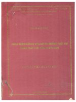 Trách nhiệm dân sự liên đới bồi thường thiệt hại trong pháp luật dân sự việt nam 