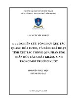 Nghiên cứu tổng hợp xúc tác quang hóa fetio2 và đánh giá hoạt tính xúc tác thông qua phản ứng phân hủy các chất kháng sinh trong môi trường nước 