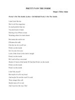 Tải Học Tiếng Anh qua bài hát Pretty's On The Inside - Lời bài hát Lời dịch bài hát Pretty's On The Inside Chloe Adams