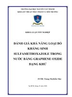Đánh giá khả năng loại bỏ kháng sinh sulfamethoxazole trong nước bằng graphene oxide dạng khử 