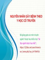 NGUYÊN NHÂN gây BỆNH ppt _ Y HỌC CỔ TRUYỀN