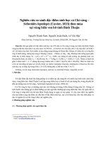 Nghiên cứu so sánh đặc điểm sinh học cá Chỉ vàng – Selaroides leptolepis (Cuvier, 1833) theo mùa tại vùng biển ven bờ tỉnh Bình Thuận