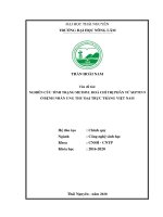 Nghiên Cứu Tình Trạng Methyl Hoá Chỉ Thị Phân Tử Septin 9 Ở Bệnh Nhân Ung Thư Đại Trực Tràng VN