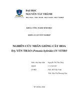 Nghiên cứu nhân giống cây hoa dạ yến thảo (petunia hybrida) in vitro 