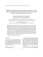 Nghiên cứu ảnh hưởng của hàm lượng cadimi (Cd ) và chì  (Pb) trong đất đến khả năng sinh trưởng và hấp thu Cd, Pb  của cây lu lu đực (Solanum nigrum L.)